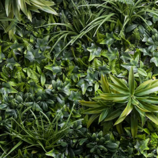 Декоративно Пано