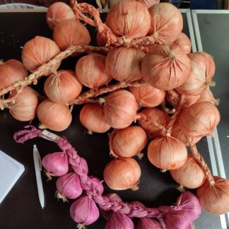 Изкуствени плодове и зеленчуци лот